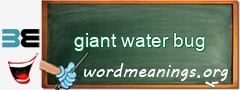 WordMeaning blackboard for giant water bug
